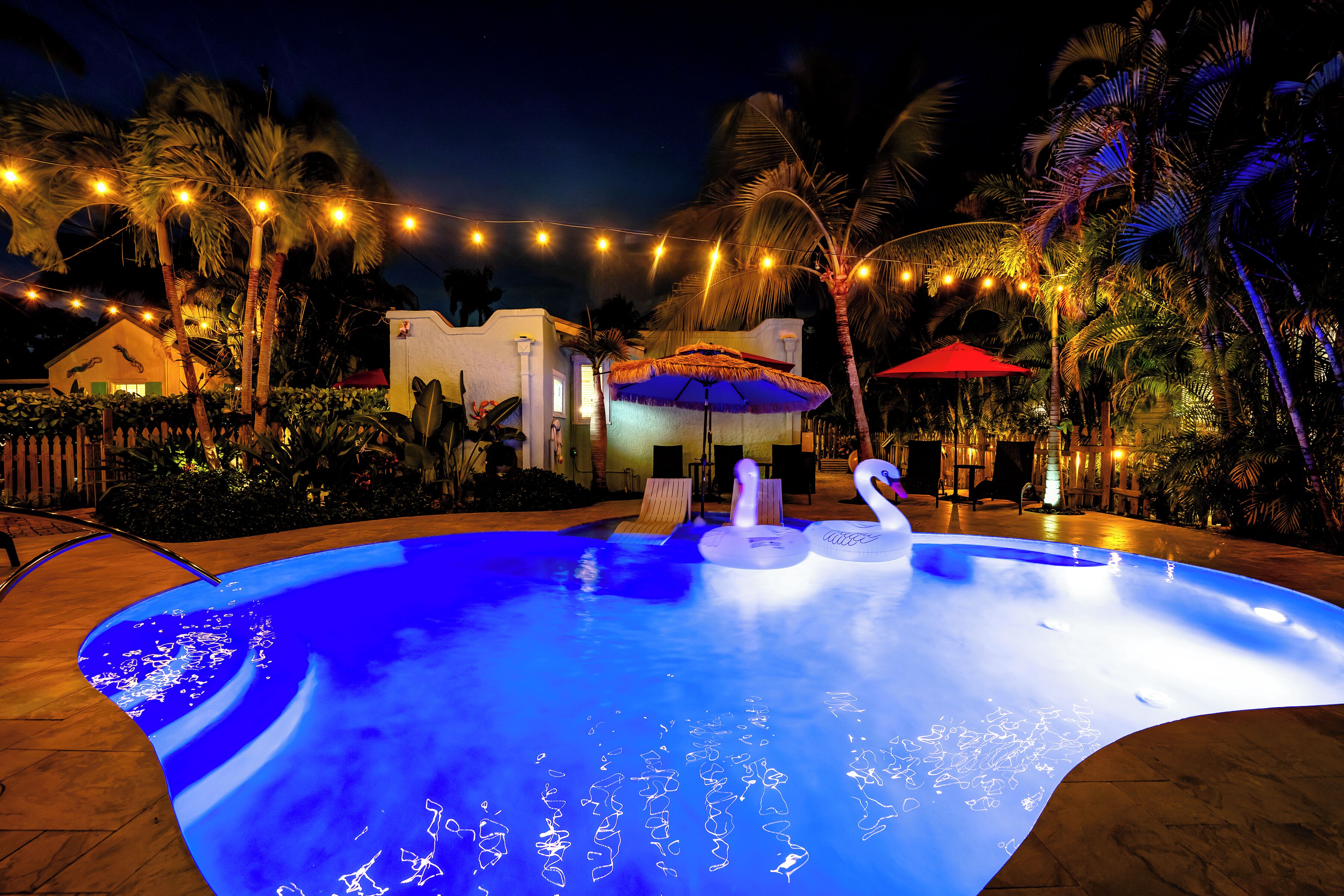 A swimming pool with swan-shaped floats, surrounded by palm trees and string lights.