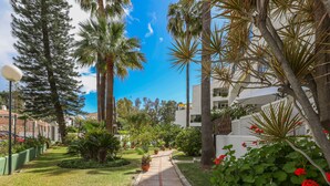 A pathway leading to a building surrounded by lush greenery and palm trees.