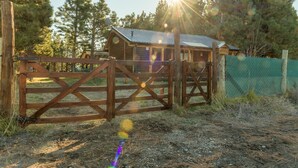A wooden cabin with a metal roof, surrounded by a wooden fence and trees.