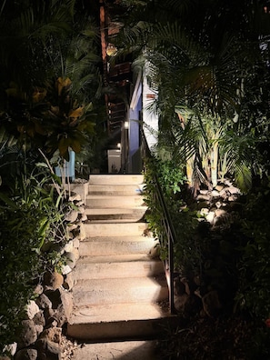 A stone staircase surrounded by lush greenery, leading to a building with a blue facade.