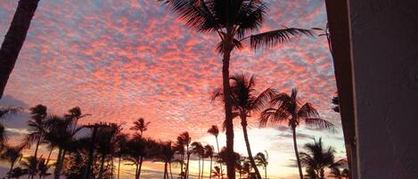 Un atardecer con palmeras frente a un cielo rosa y morado.