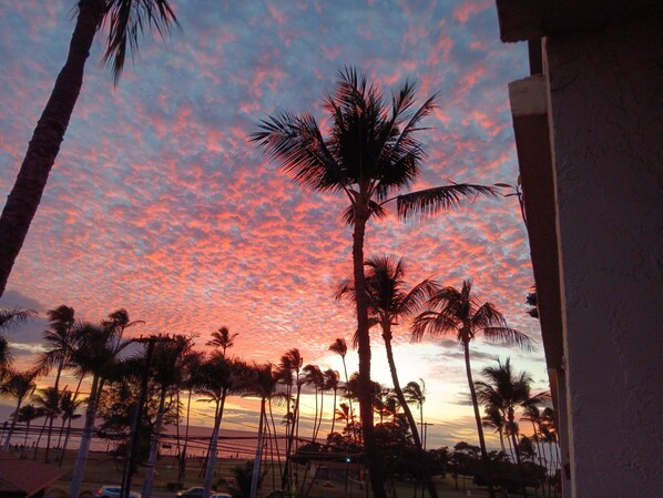 A sunset with palm trees against a pink and purple sky.