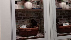 Une salle de bain avec un mur recouvert de carreaux derrière le lavabo, un miroir, un panier et une plante en pot.
