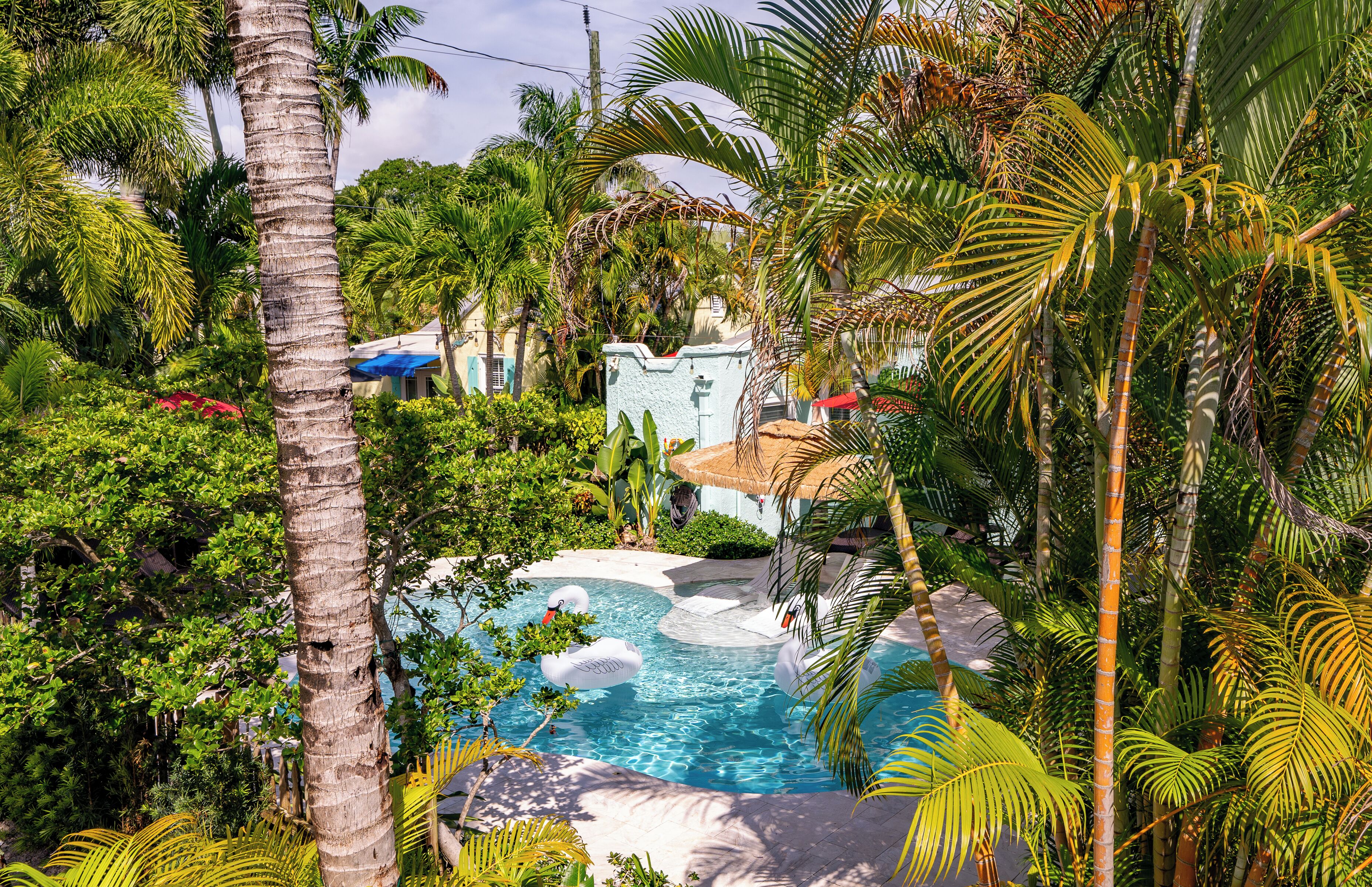 Comfort Apartment, 1 Bedroom, Garden View | Garden view