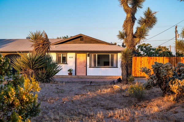 Serene desert escape surrounded by Joshua Trees