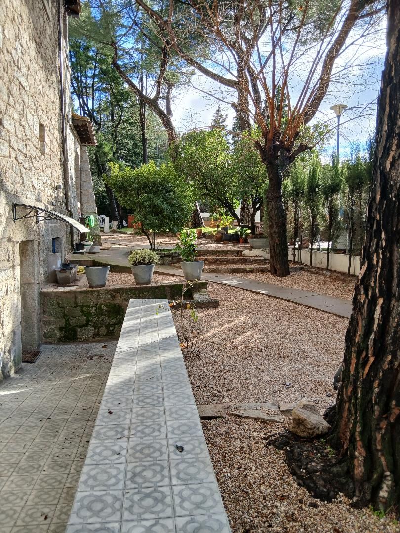 A courtyard with stone walls, potted plants, and a tiled pathway.