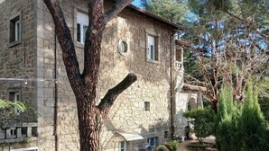 A stone building with a large tree in front, a pathway, and potted plants.