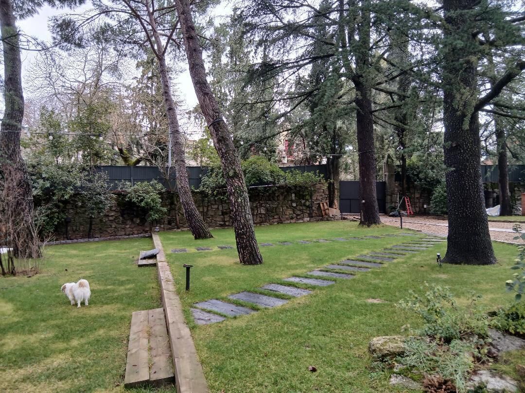 Un jardin avec un chemin de pierres, une terrasse en bois et un chien.