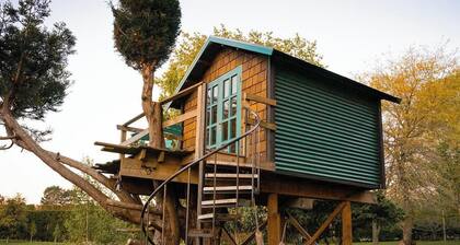 Romantic Tranquil Tui Treehouse