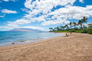 Playa en los alrededores 