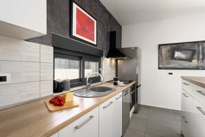 Fridge, microwave, oven, stovetop - Villa Quinta (Istria - Labin) (Labin)