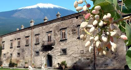 Room 'Annunziata - Mandorla Bronte' with Private Terrace, Wi-Fi and Air Conditioning