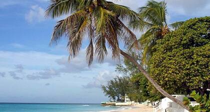 Charming Historical Villa with Private Pool, Close to Beach - Rosedale