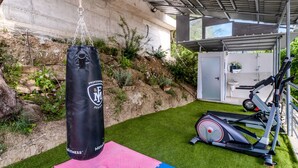 A home gym with a punching bag, an elliptical, and a small shed. - Apartment 'Chakalaka -  2 Bedrooms 5' with Sea View, Wi-Fi and Air Conditioning (Leykada)