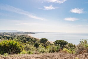 Un paysage côtier avec une plage, des arbres et des montagnes à l’horizon.
