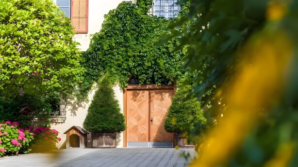 A gated entrance with a wooden door, surrounded by lush greenery and a small structure with a roof.