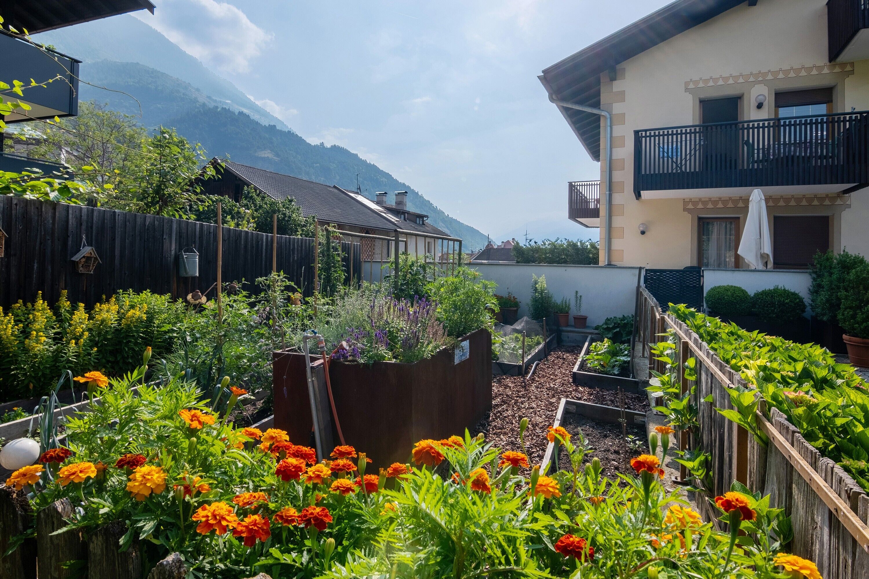 Enceinte de l’hébergement