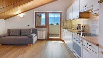 Fridge, stovetop, dishwasher, electric kettle