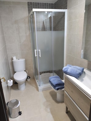 Shower, hair dryer, towels