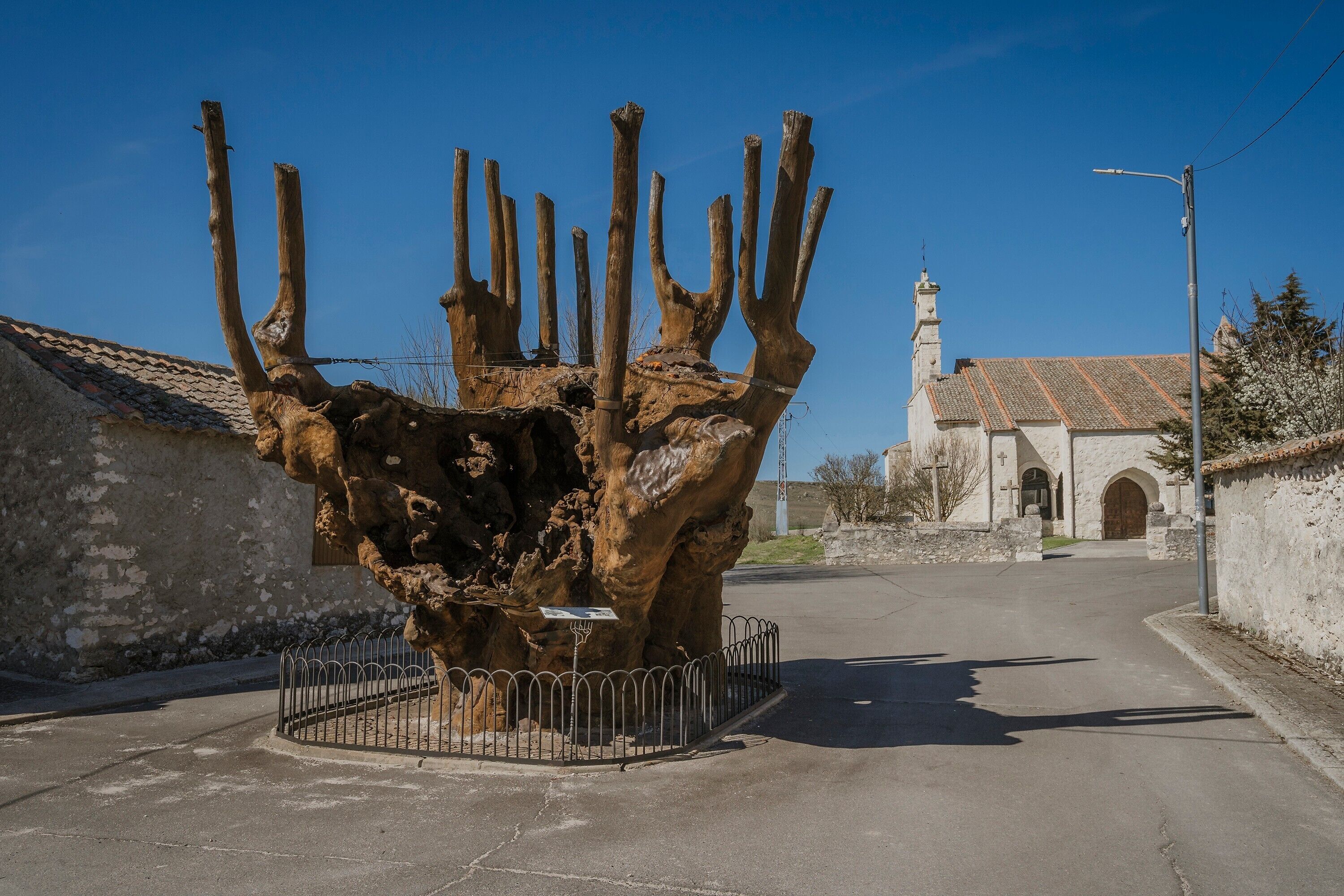A tree sculpture in a plaza with a church in the background.