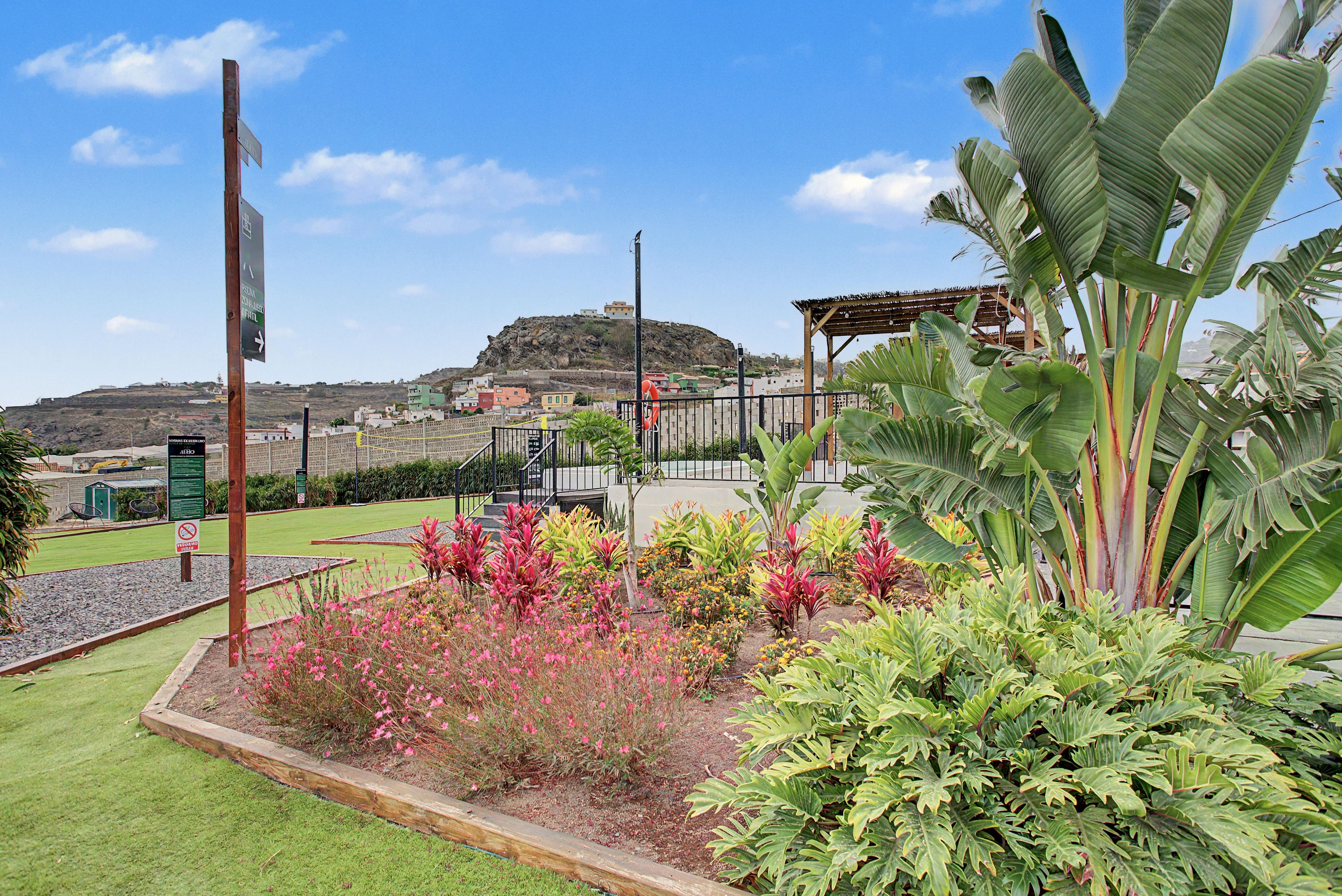 A landscaped garden with a variety of plants and flowers, a pergola, and a view of a hill with buildings in the background.