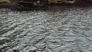 Unclassified image, 4 of 17, button - Neystastova |Waterfront Boathouse (Hvalvik)