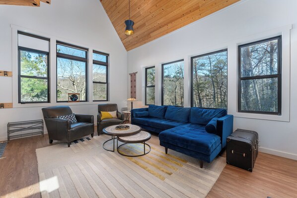 Smart TV, fireplace, DVD player