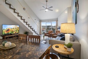 Smart TV, fireplace, books