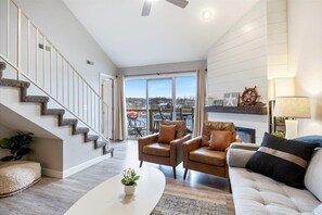 Smart TV, fireplace, books