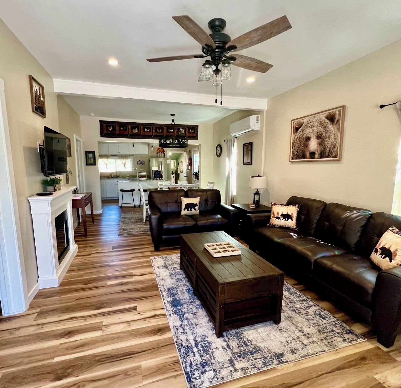 Smart TV, fireplace, books