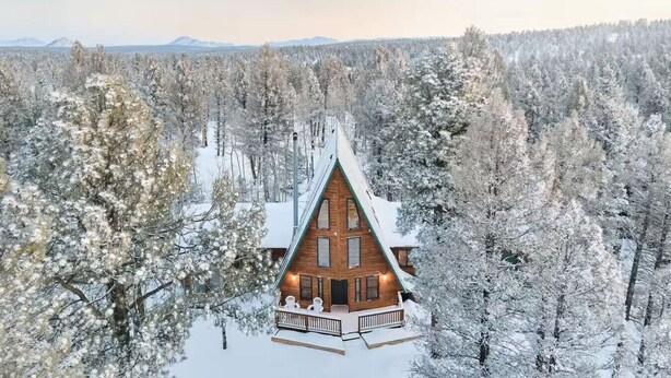 A cabin with a steep roof, surrounded by snow-covered trees. - Family Cabin • Hot Tub • Disc Golf • Forest Access (Divide)