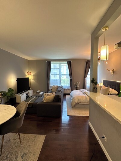 Entire Modern Apartment in Manhattan