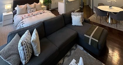 Entire Modern Apartment in Manhattan