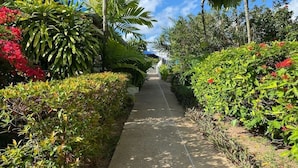 A pathway flanked by lush greenery and flowering plants, leading towards a building with a blue roof.