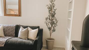 TV connectée, livres