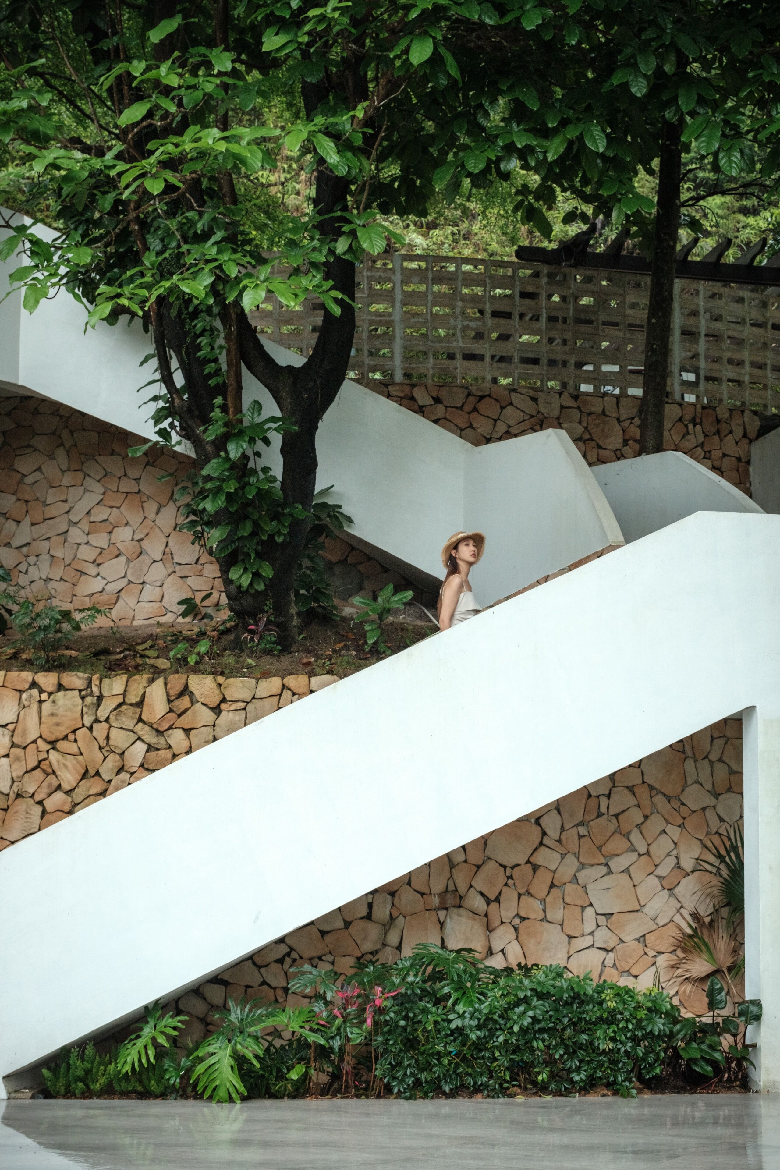 Un escalier extérieur moderne, agrémenté d’un mur en pierre et de plantes vertes.