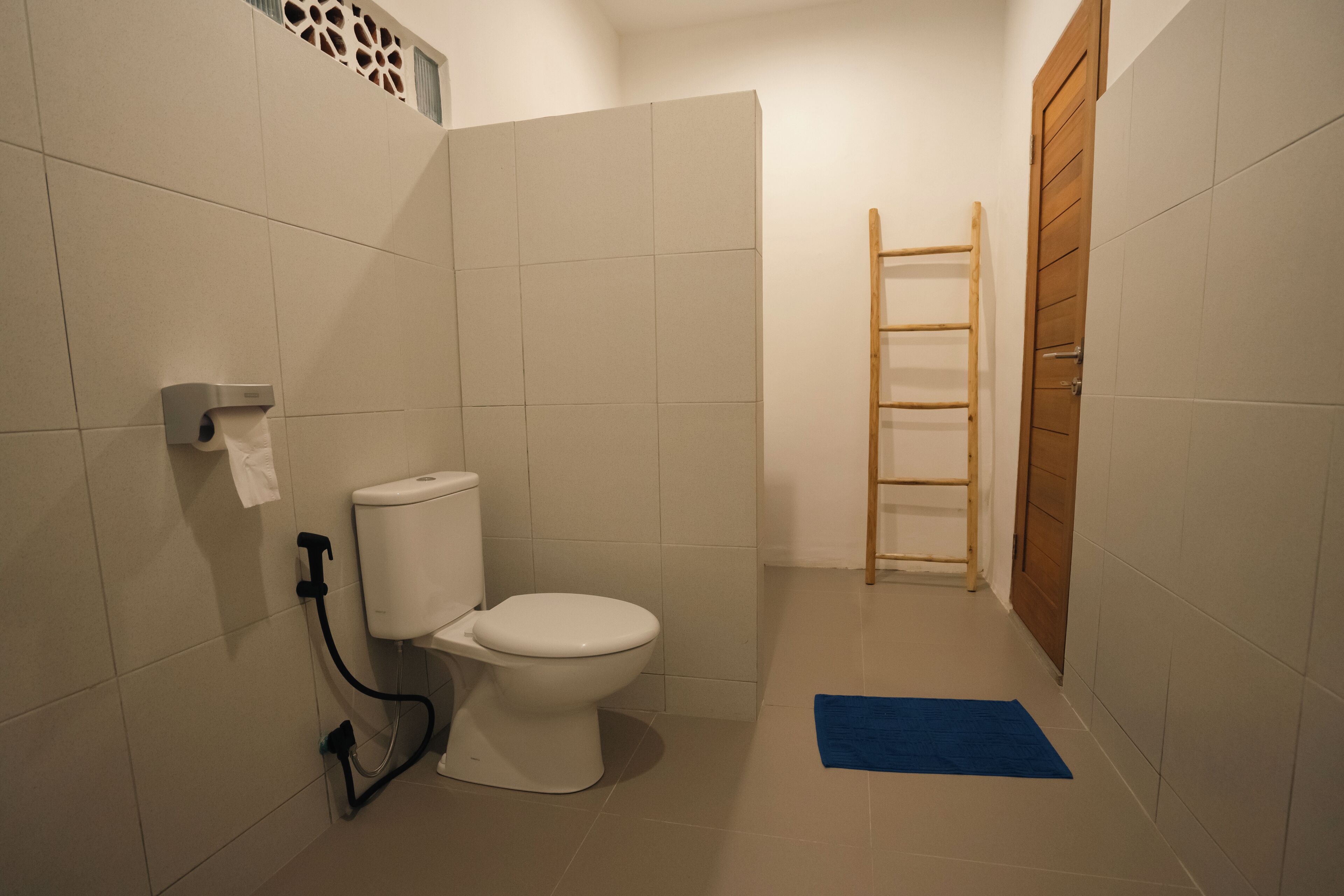 A bathroom with a toilet, a paper towel dispenser, a blue mat on the floor, and a wooden ladder leaning against the wall.