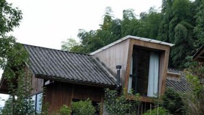 Een rustiek huis met een houten gevel en een metalen dak, omringd door een tuin met diverse planten en tomaten.