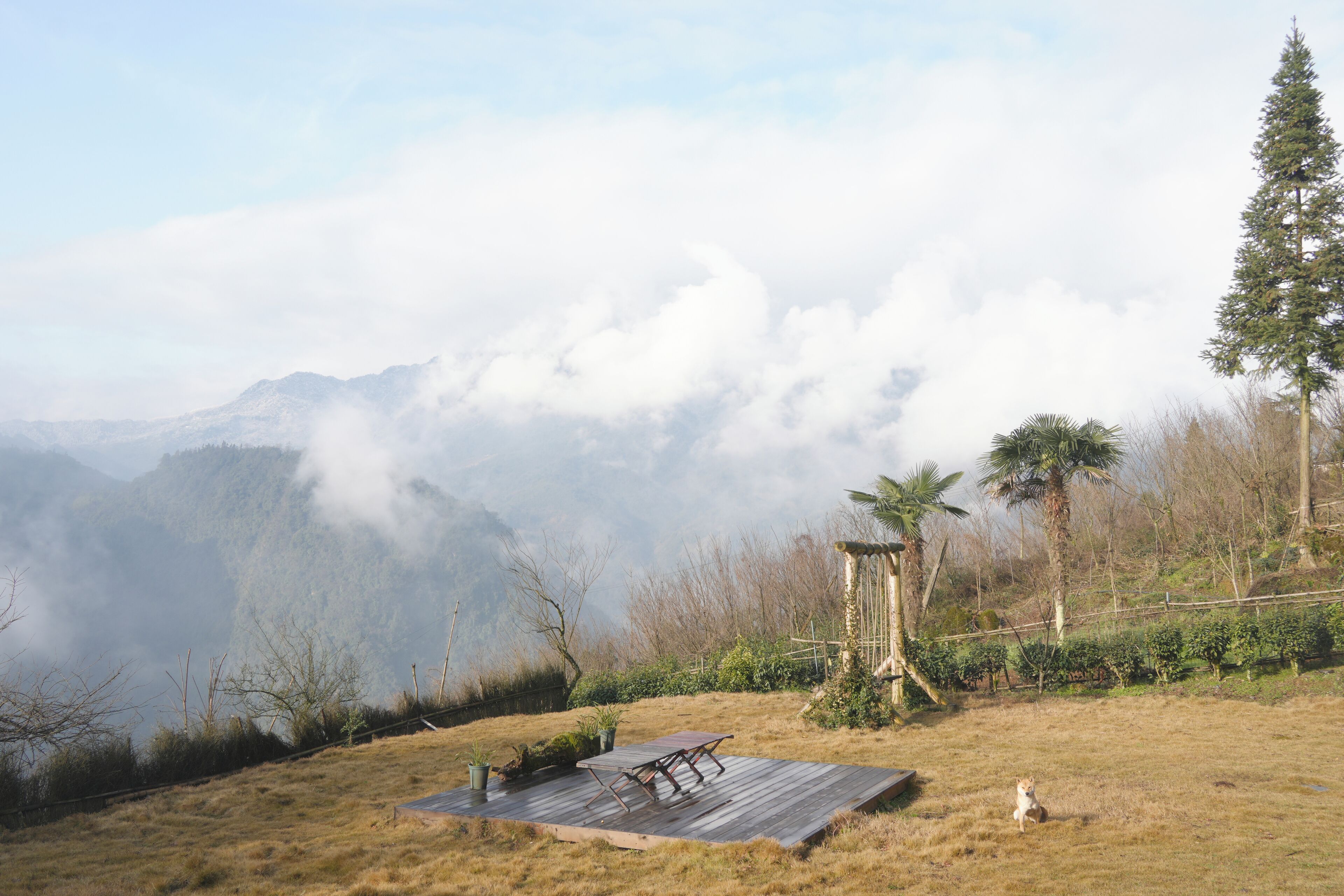 Parco della struttura