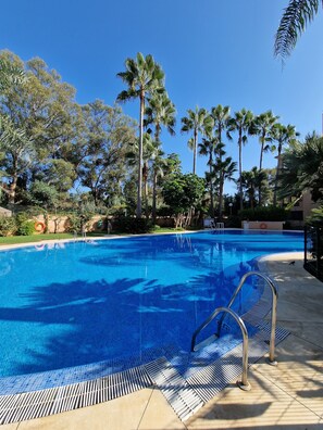 Une piscine à l’eau d’un bleu limpide, entourée de palmiers et délimitée par une clôture.