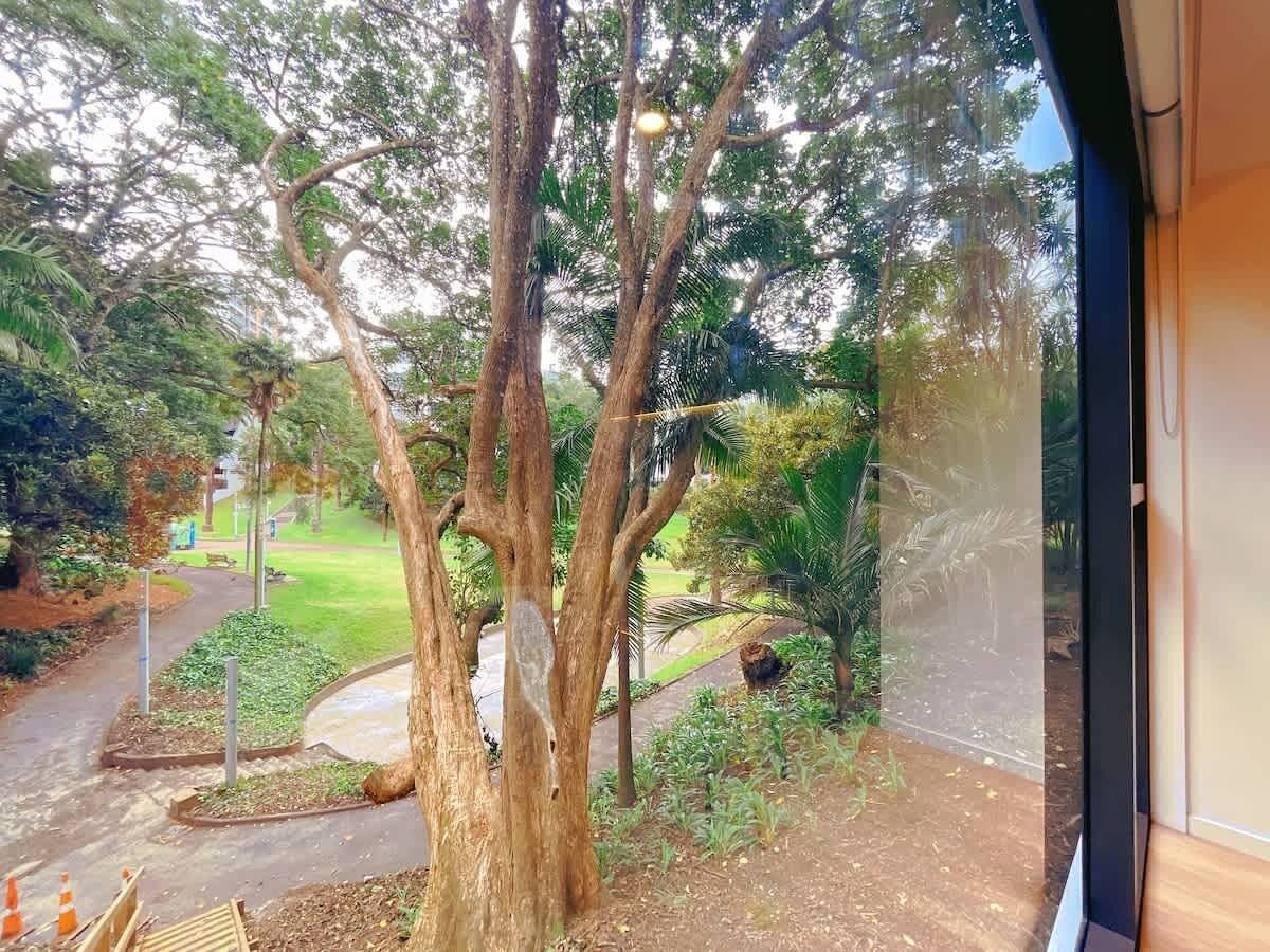 A tree-lined pathway leading to a building entrance.