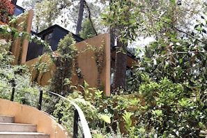 Exterior - DESNIVEL (Valle de Bravo)