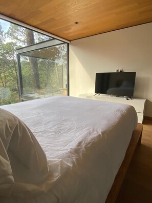 Blackout curtains, iron/ironing board (on request), free WiFi - DESNIVEL (Valle de Bravo)