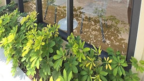 A modern building with large glass windows and a courtyard with plants and outdoor furniture. - Rsai sriracha  (Si Racha)