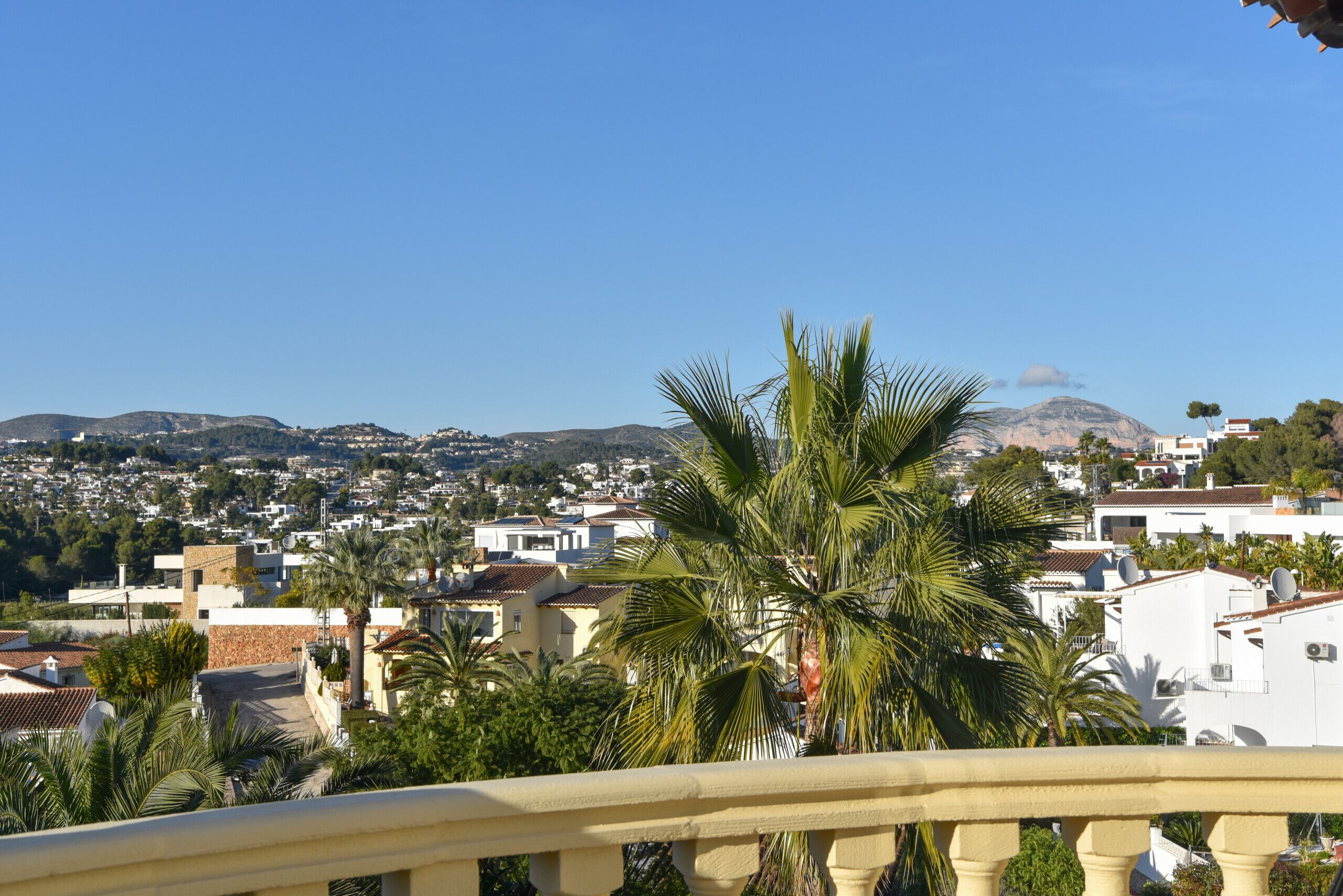 A coastal town with white buildings, palm trees, and a mountain in the background.