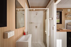 Shower, hair dryer, towels