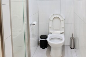 Ducha, secador de pelo, toallas y jabón