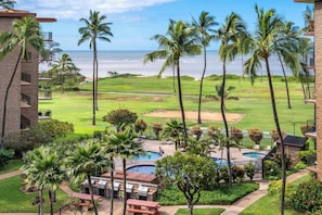 A resort with a pool, palm trees, and a view of the ocean.