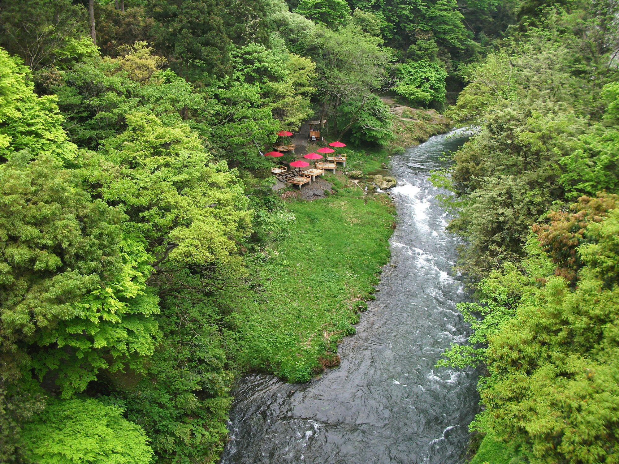 A river flowing through a forested area with a small outdoor seating area with red umbrellas.