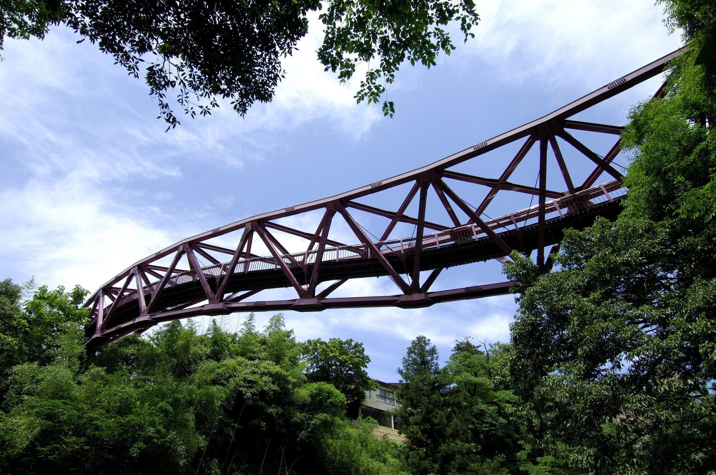 A steel bridge with a truss design, surrounded by dense green foliage and a clear sky.